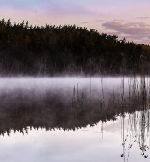 Boende i Grövelsjön: upptäck naturens skönhet