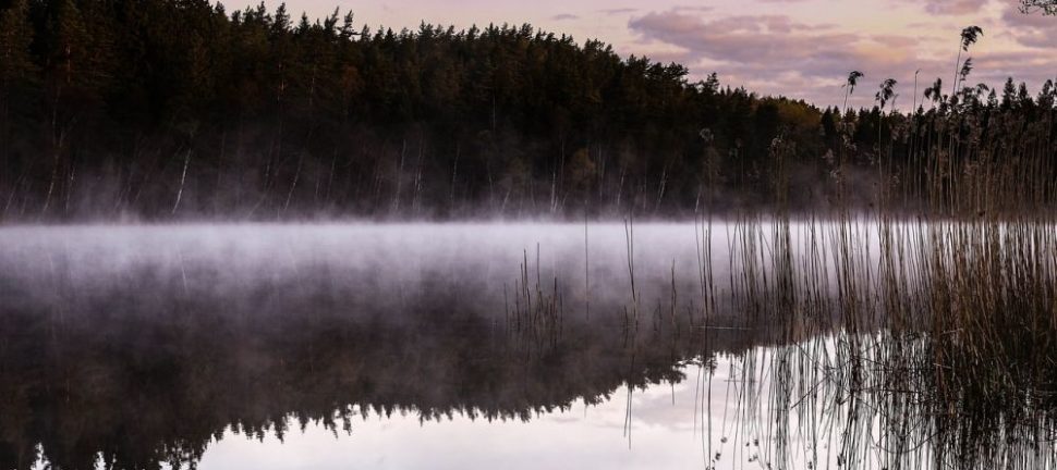Boende i Grövelsjön: upptäck naturens skönhet