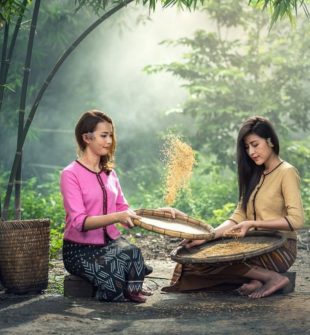 Åka till Thailand: En Guide till Detta Populära Resmål