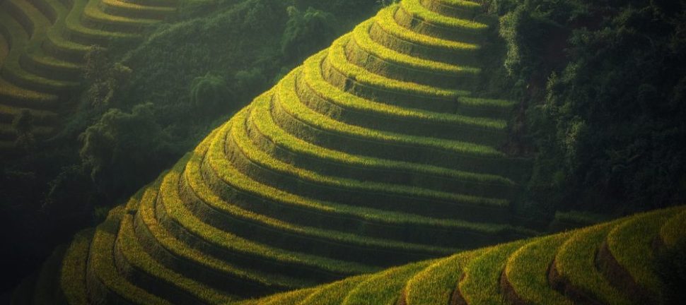 Thailand Resa: Utforska Skönheten i Sydostasien
