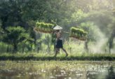 Resa till Sydkorea - Upplev en fascinerande destination