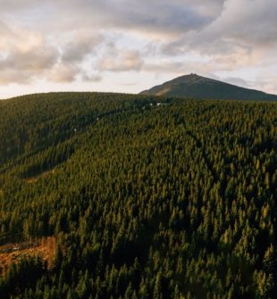 Resa till Kanarieöarna: En Paradisisk Upplevelse