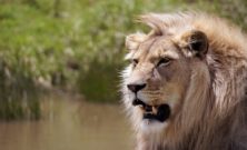 Unika upplevelser med spännande temaresor